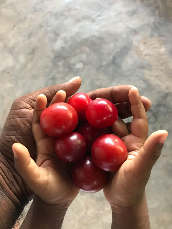 <span class="u-italic400">My nephew’s hands in mine</span>
© Jaisingh Nageswaran