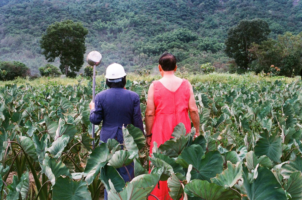 <span class="u-italic400"> My Parents–Taro Field</span>
© Liu Hsing-Yu