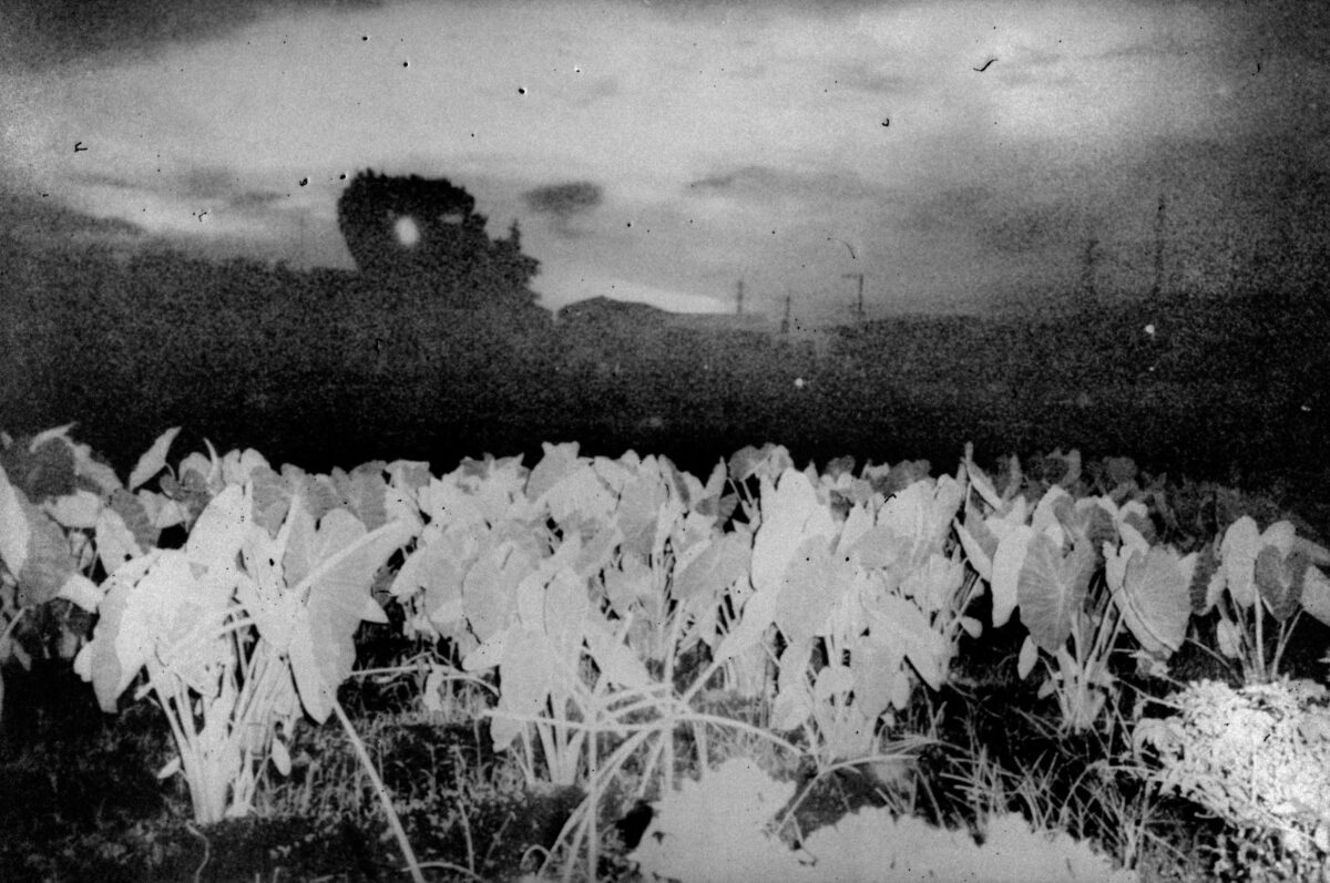 ©Daisuke Yokota